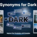 Synonyms for Dark Examples
