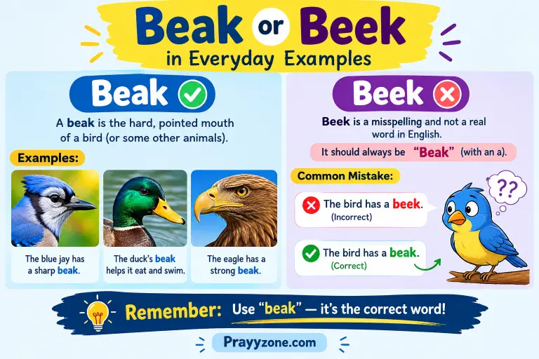 Beak or Beek in Everyday Examples