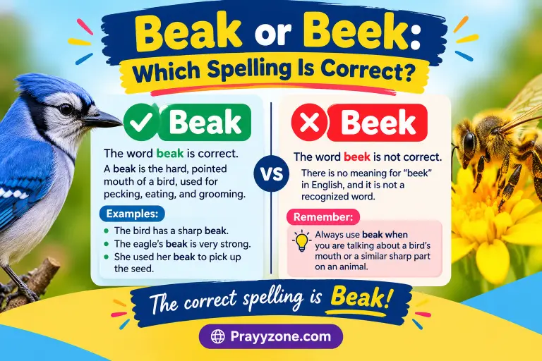 Beak or Beek