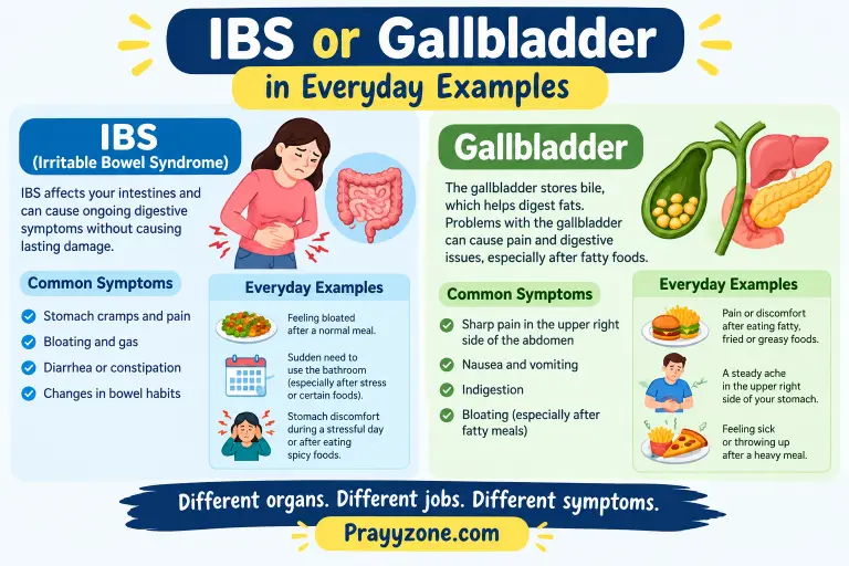 IBS or Gallbladder in Everyday Examples